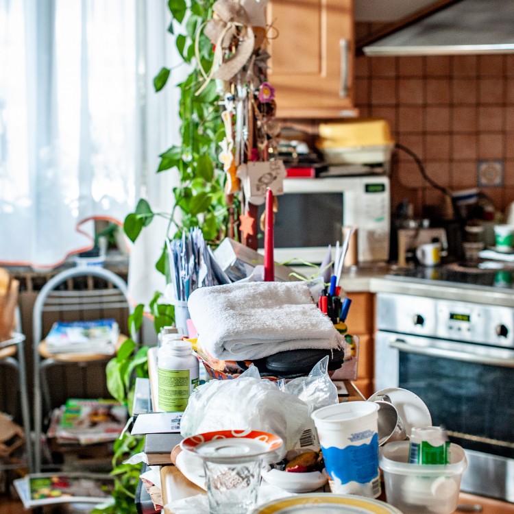 Just another WordPress site